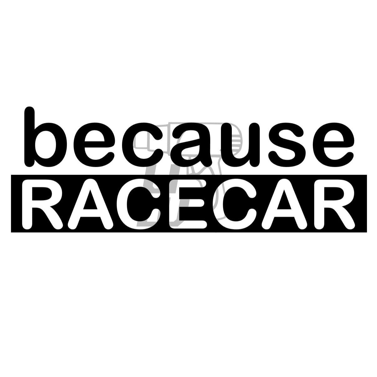 "because Racecar"-Sticker